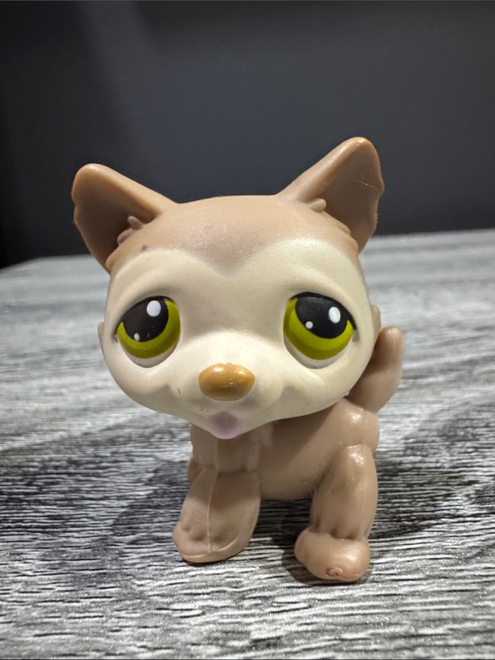 Littlest Pet Shop | #358: Husky Dog (2006) - Collectible Toy Figure